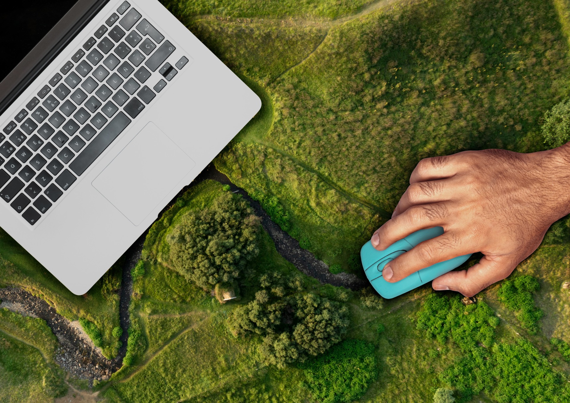 laptop nature concept