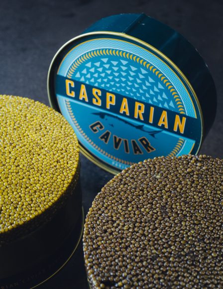 casparian caviar l1091499