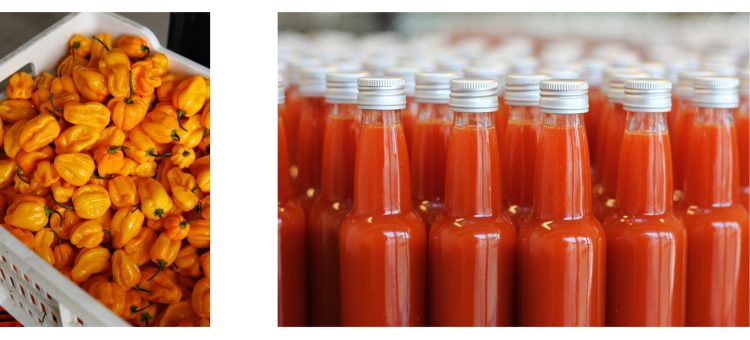 Du feu dans l’assiette : le piment à la française en plein essor 4 suite 19 1 e1752251869372